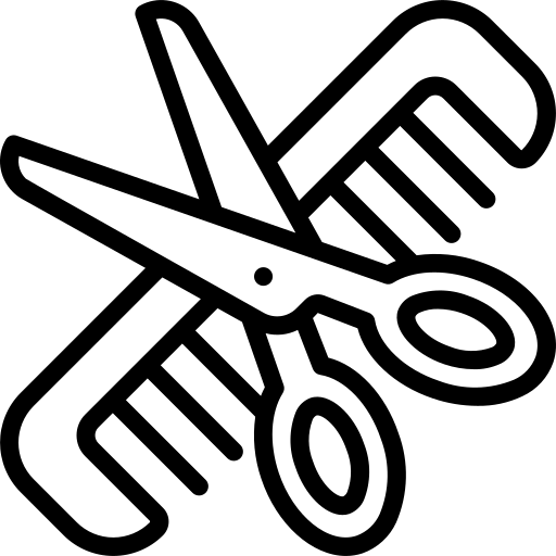 quipes formées.webp
